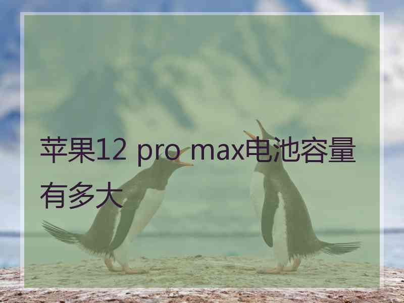 苹果12 pro max电池容量有多大