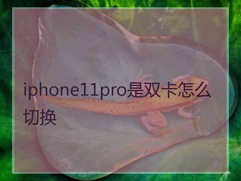 iphone11pro是双卡怎么切换