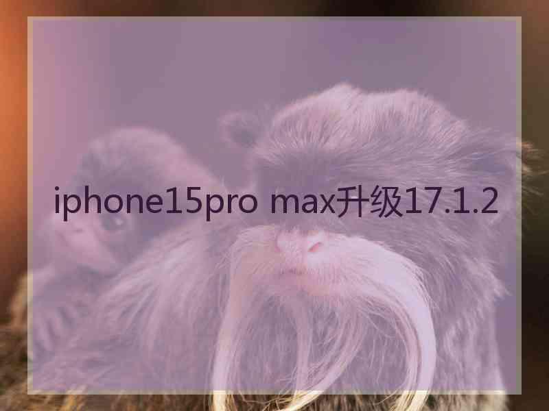 iphone15pro max升级17.1.2