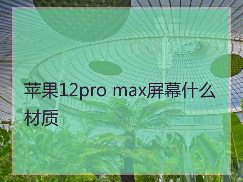 苹果12pro max屏幕什么材质