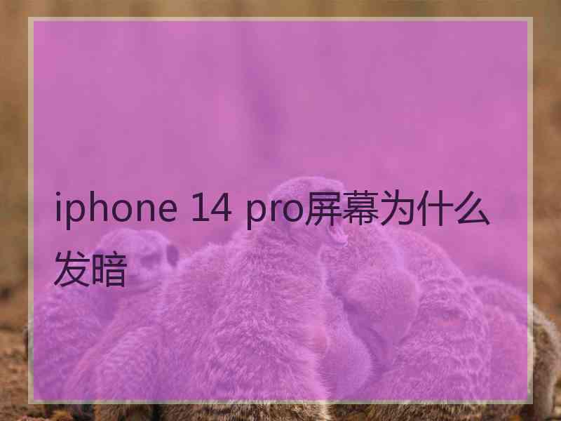 iphone 14 pro屏幕为什么发暗