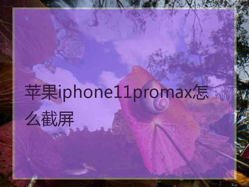 苹果iphone11promax怎么截屏