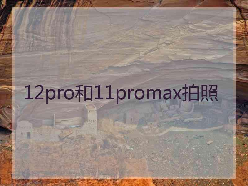 12pro和11promax拍照