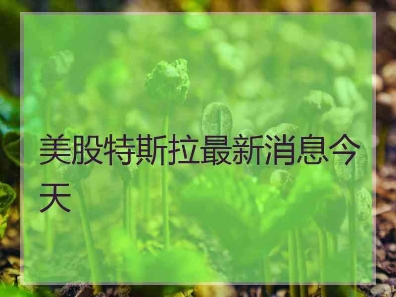 美股特斯拉最新消息今天