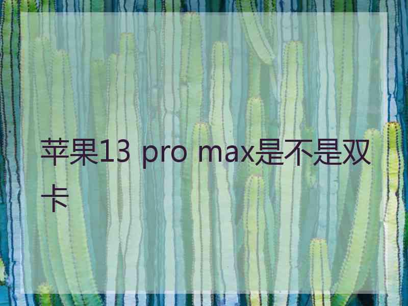 苹果13 pro max是不是双卡