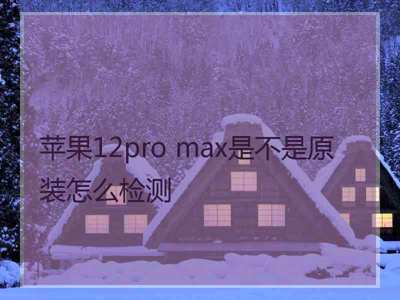 苹果12pro max是不是原装怎么检测