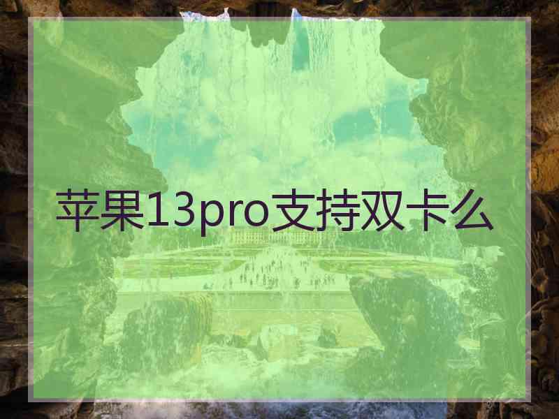 苹果13pro支持双卡么