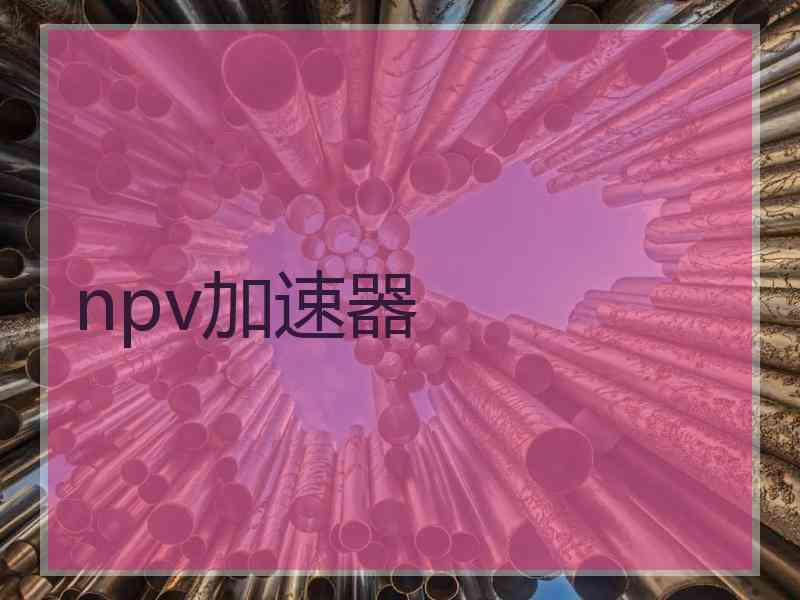 npv加速器