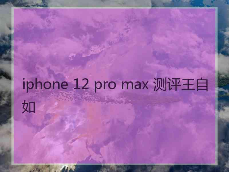 iphone 12 pro max 测评王自如