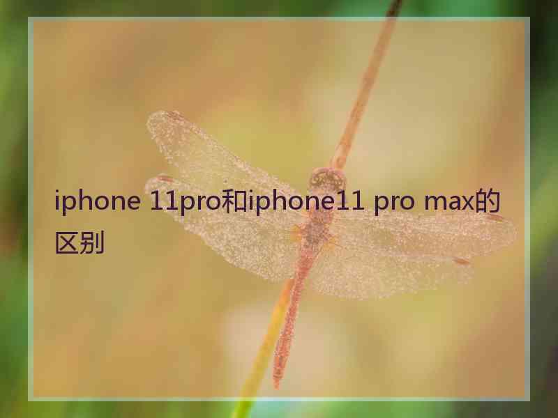 iphone 11pro和iphone11 pro max的区别