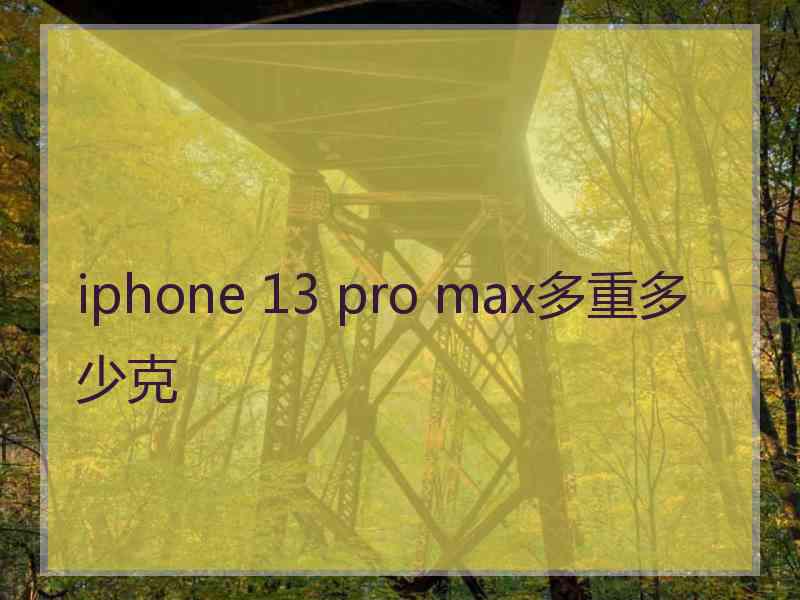 iphone 13 pro max多重多少克