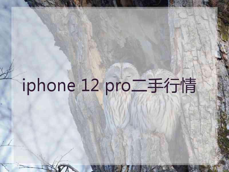 iphone 12 pro二手行情