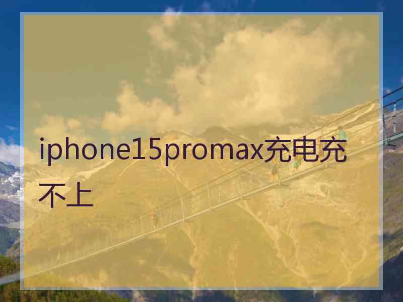 iphone15promax充电充不上