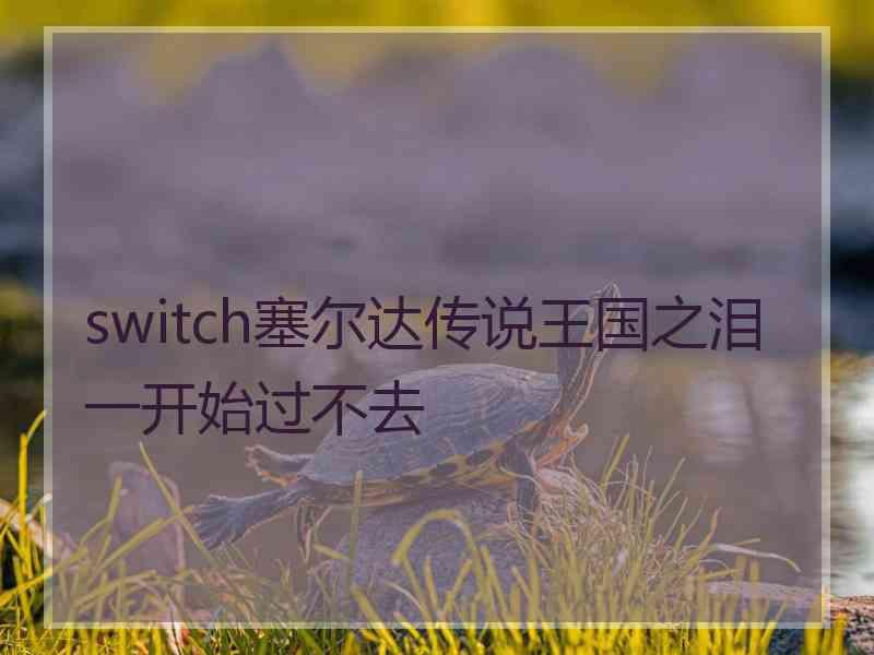 switch塞尔达传说王国之泪一开始过不去