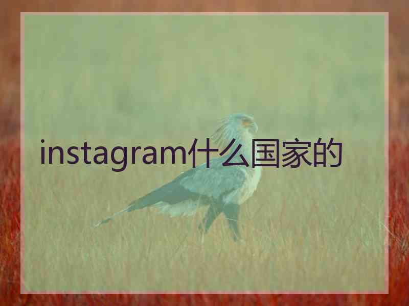 instagram什么国家的