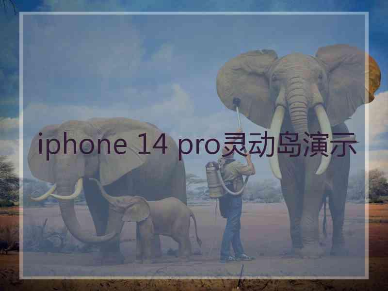 iphone 14 pro灵动岛演示