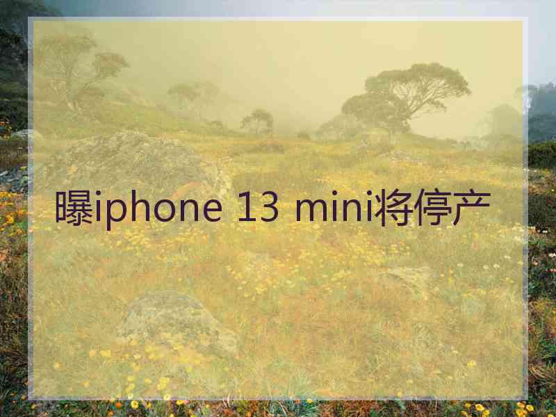 曝iphone 13 mini将停产