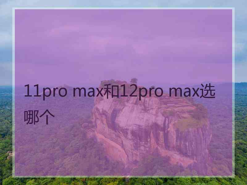 11pro max和12pro max选哪个