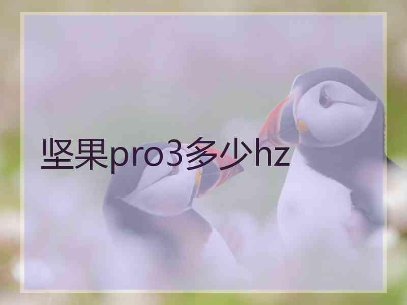 坚果pro3多少hz