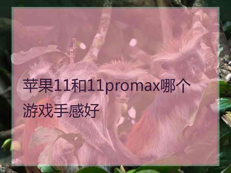 苹果11和11promax哪个游戏手感好