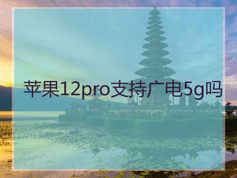 苹果12pro支持广电5g吗