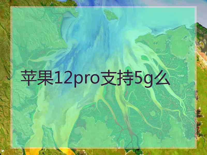 苹果12pro支持5g么