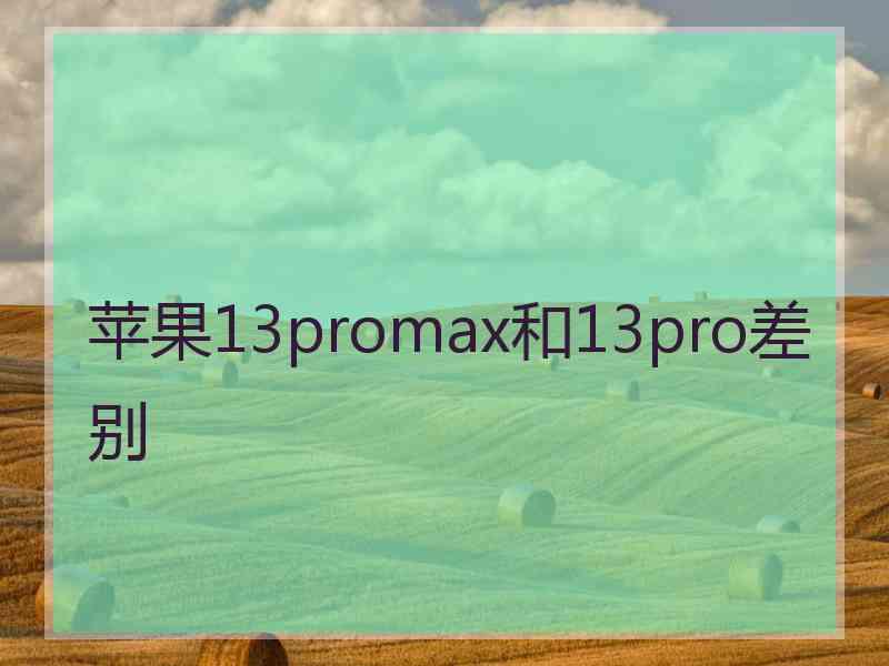 苹果13promax和13pro差别