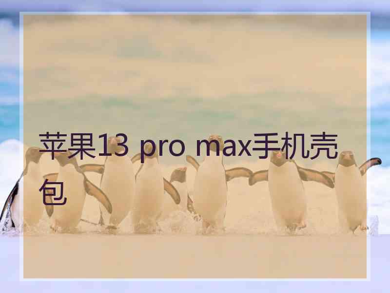 苹果13 pro max手机壳包