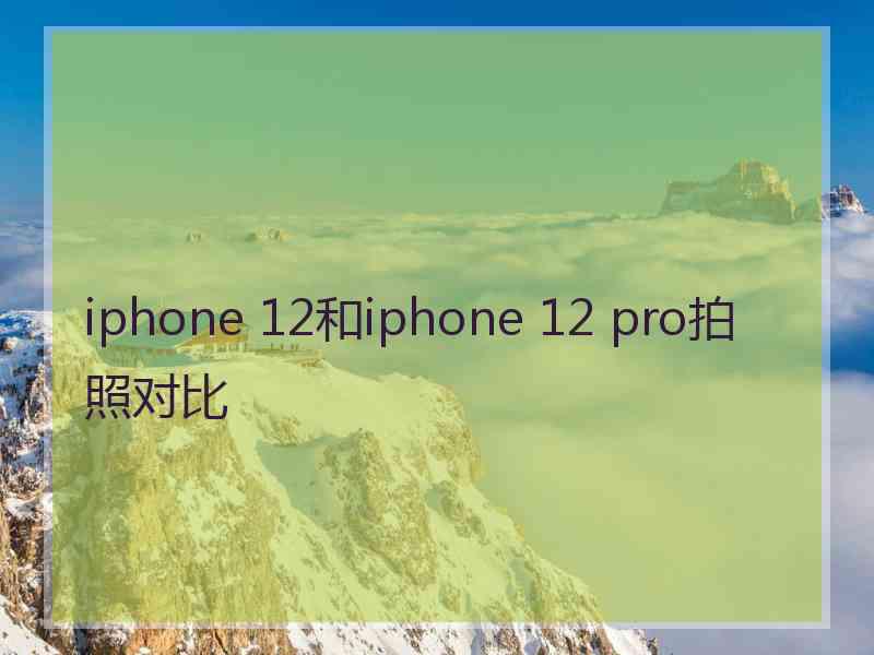 iphone 12和iphone 12 pro拍照对比