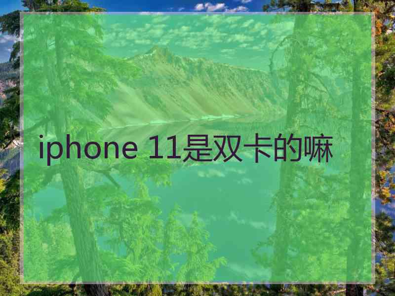 iphone 11是双卡的嘛