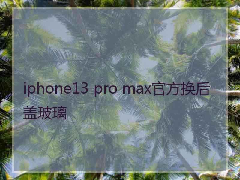 iphone13 pro max官方换后盖玻璃