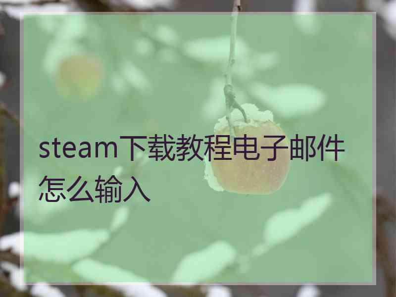 steam下载教程电子邮件怎么输入