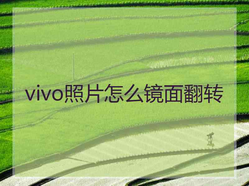 vivo照片怎么镜面翻转