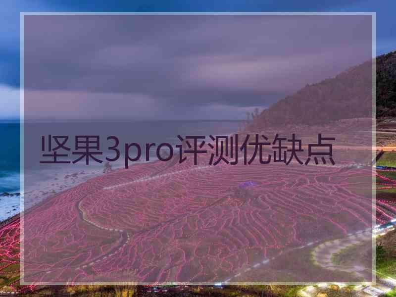 坚果3pro评测优缺点