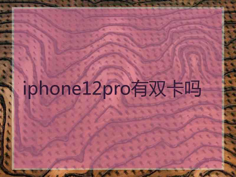 iphone12pro有双卡吗