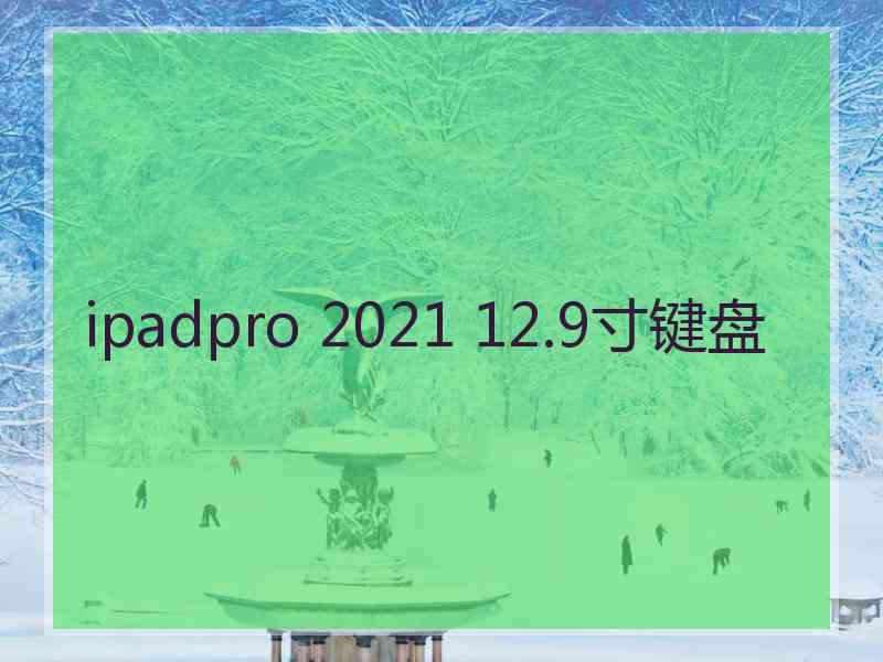 ipadpro 2021 12.9寸键盘