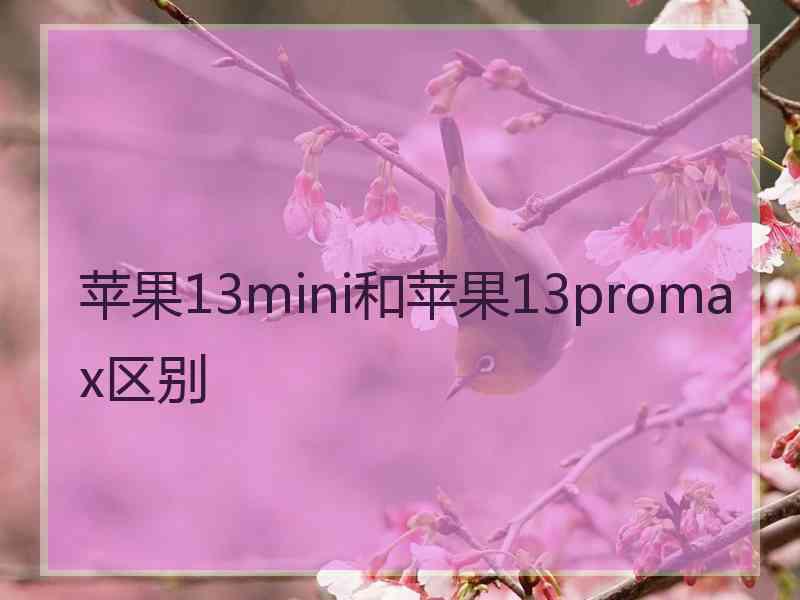 苹果13mini和苹果13promax区别