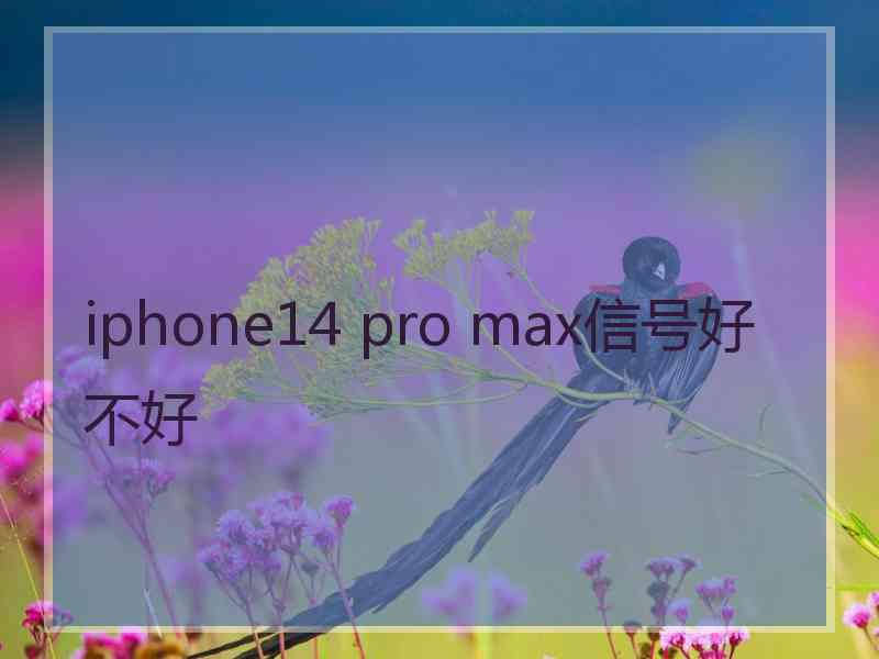 iphone14 pro max信号好不好