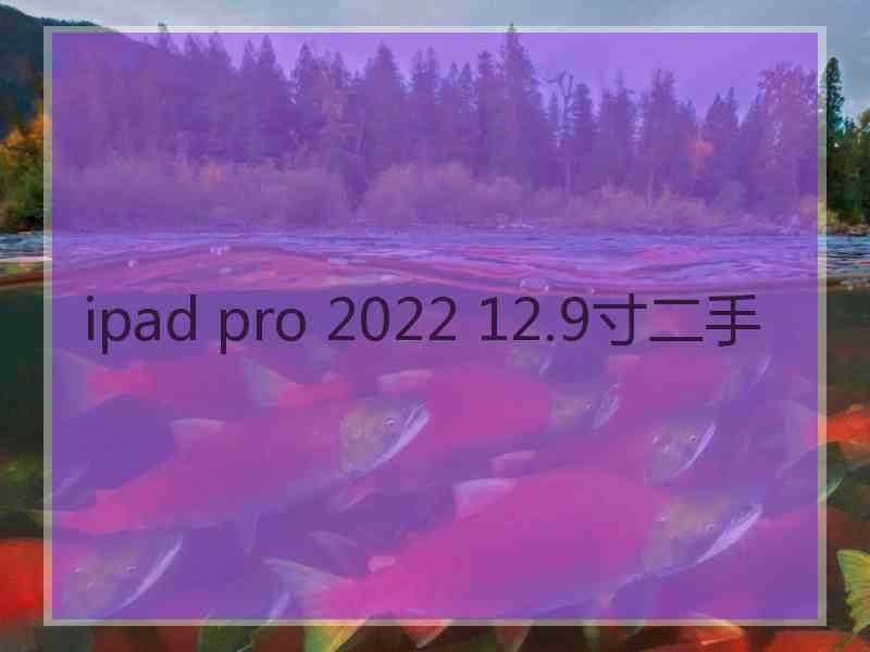 ipad pro 2022 12.9寸二手