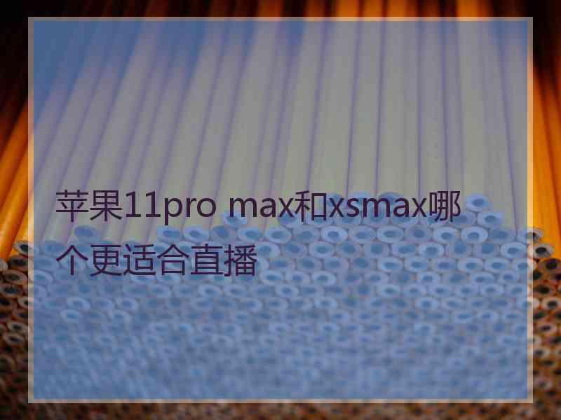 苹果11pro max和xsmax哪个更适合直播