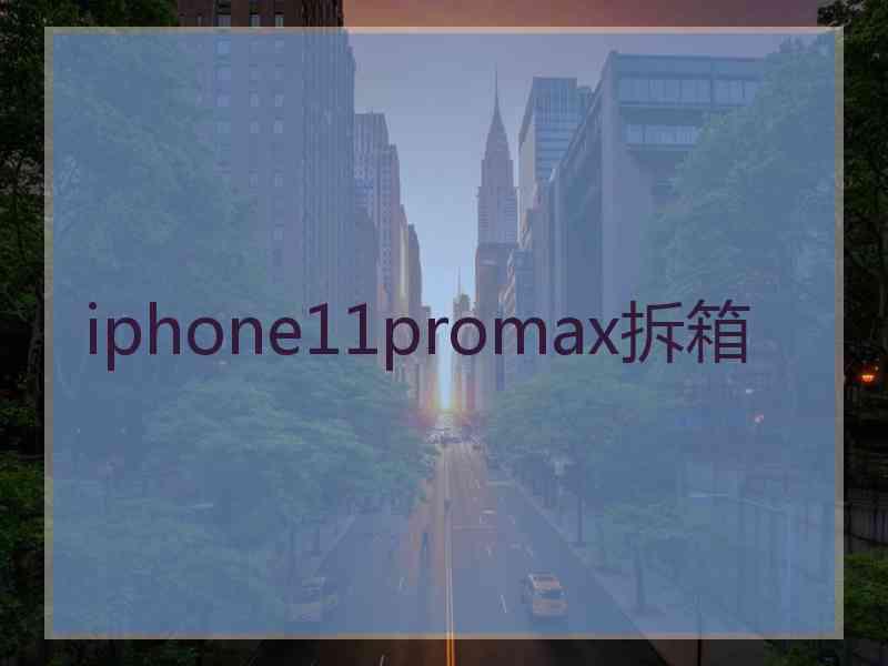 iphone11promax拆箱