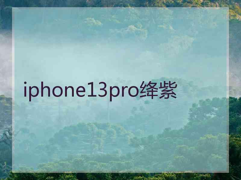 iphone13pro绛紫