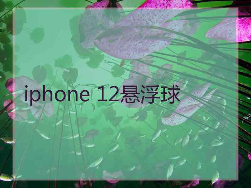 iphone 12悬浮球