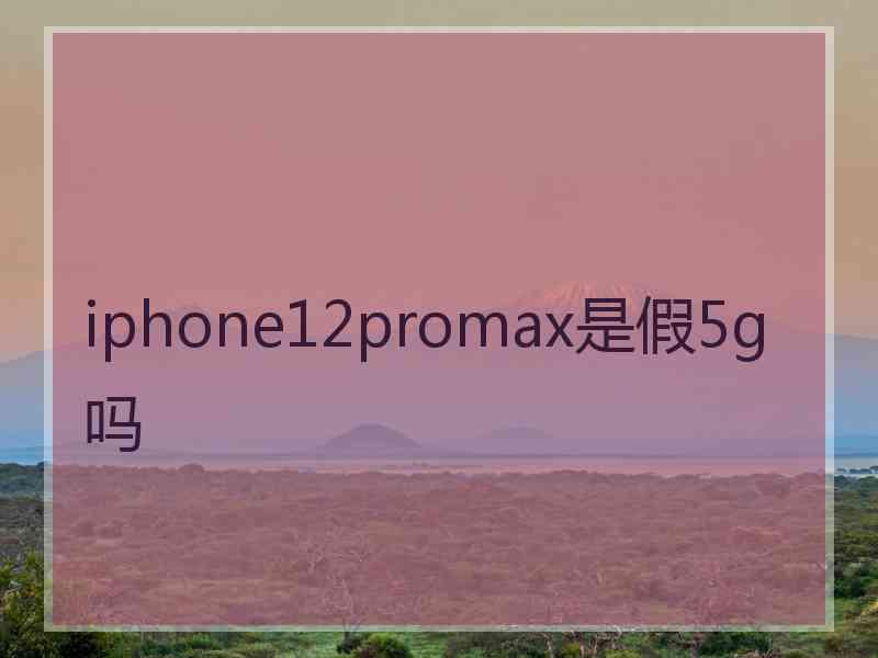 iphone12promax是假5g吗