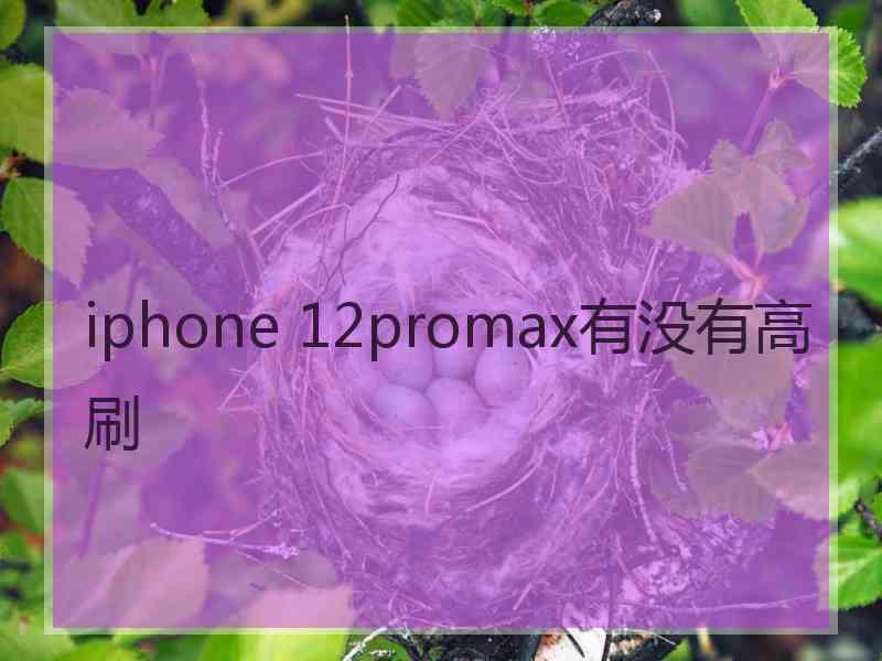 iphone 12promax有没有高刷