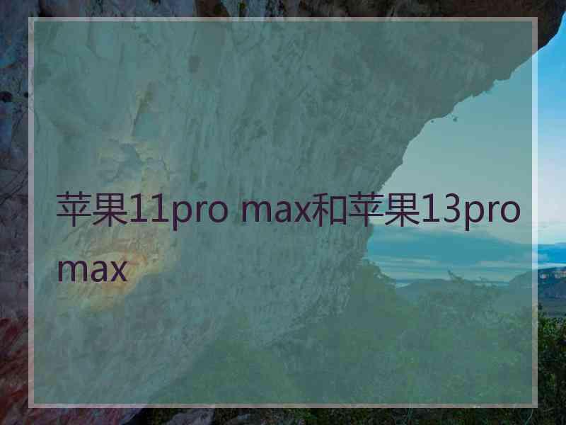 苹果11pro max和苹果13promax