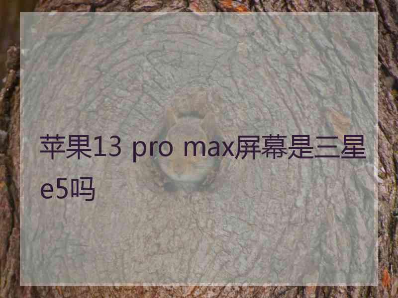 苹果13 pro max屏幕是三星e5吗