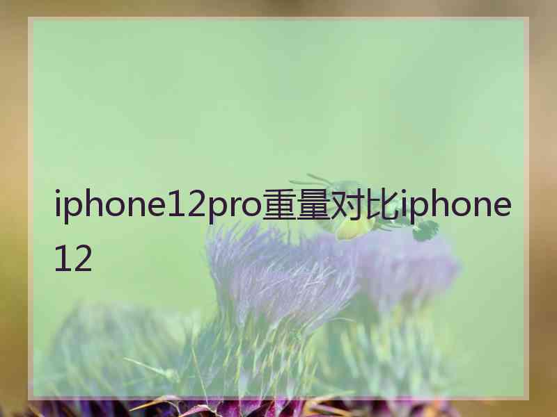 iphone12pro重量对比iphone12