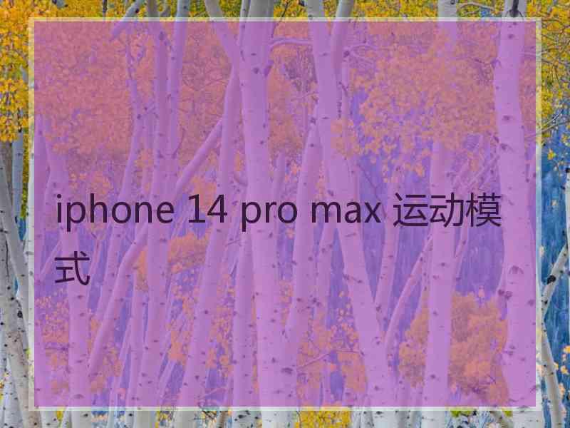 iphone 14 pro max 运动模式