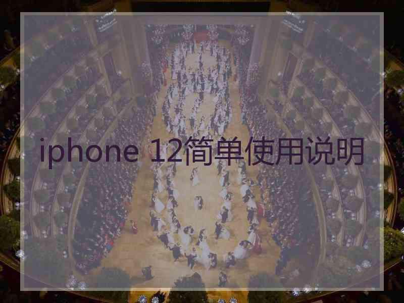 iphone 12简单使用说明